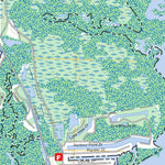 Spring Creek, FL FSTopo Preview 3