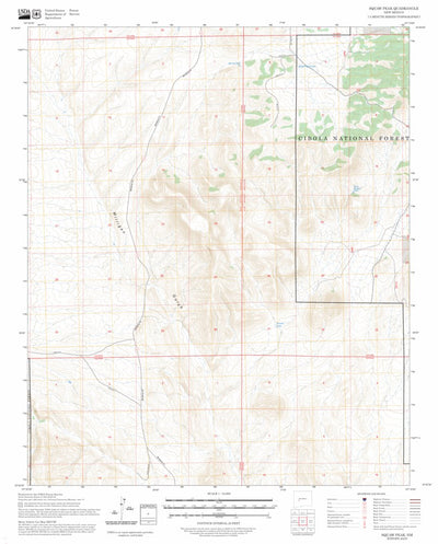 Squaw Peak, NM FSTopo Preview 1