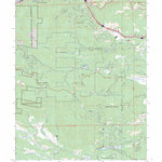 Squaw Pass, CO FSTopo Preview 1
