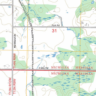 Stanwood, MI FSTopo Preview 2