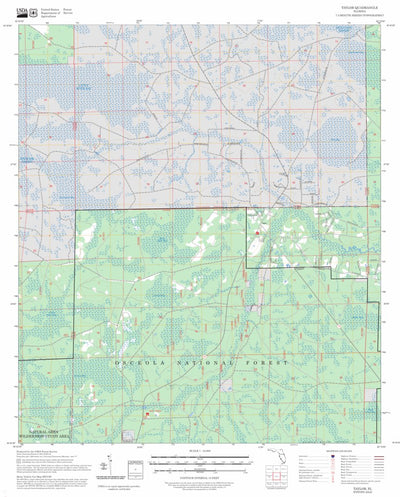 Taylor, FL FSTopo Preview 1