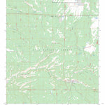 Taylor Peak, NM FSTopo Preview 1
