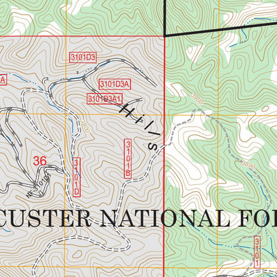 Terrell Creek, MT FSTopo Preview 3