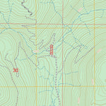Timber Mountain, WA FSTopo Preview 3