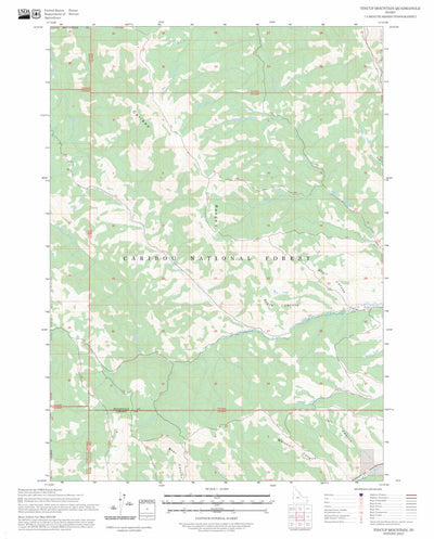 Tincup Mountain, ID FSTopo Preview 1
