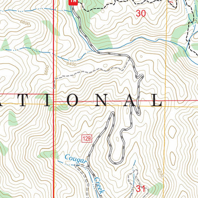 Trinity Mountain, ID FSTopo Preview 2