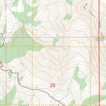 Turquoise Lake, WY FSTopo Preview 3