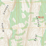 Tyler Peak, ID FSTopo Preview 3