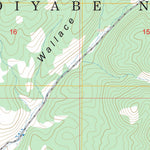 Wallace Canyon, NV FSTopo Preview 2