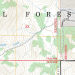Washington Mountain, CA FSTopo Preview 2