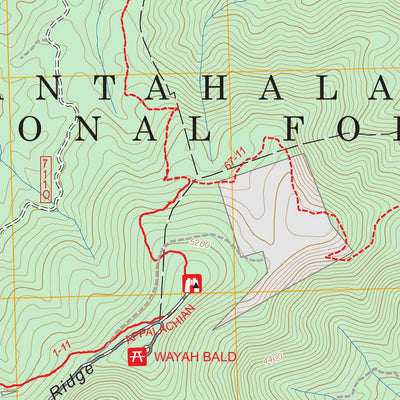 Wayah Bald, NC FSTopo Preview 2