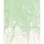 West Elk Peak SW, CO FSTopo Preview 1