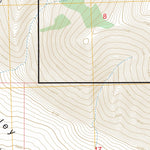 West of Leadore, ID FSTopo Preview 3