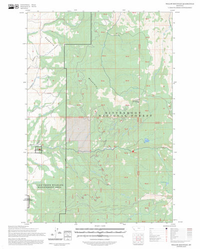 Willow Mountain, MT FSTopo Preview 1