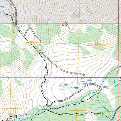 Windy Peak, NV FSTopo Preview 2