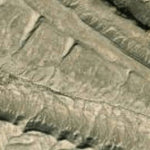 Big Bend National Park Recreation Map Sub Unit 32 Preview 2