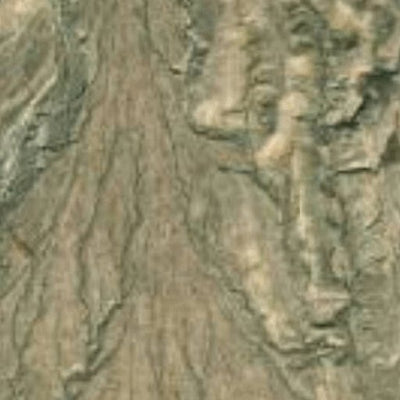 Big Bend National Park Recreation Map Sub Unit 40 Preview 2