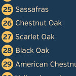 Rocky Fork State Park Arboretum Map Preview 3