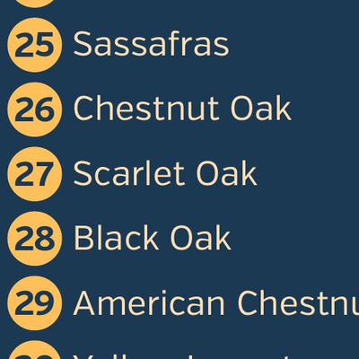 Rocky Fork State Park Arboretum Map Preview 3