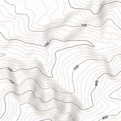 Campigno 10K Preview 2