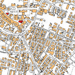 Castelnovo di Sotto 10K Preview 3