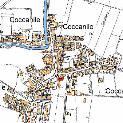 Coccanile 10K Preview 2