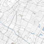 Fiorentina 10K Preview 1