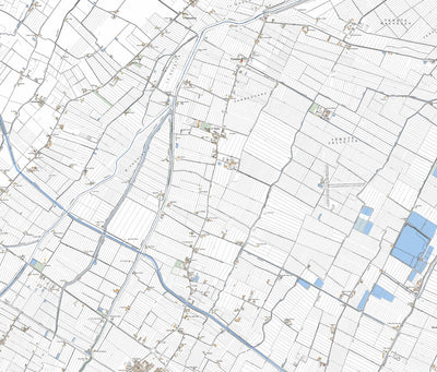 Fiorentina 10K Preview 1