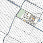 Fiorentina 10K Preview 3