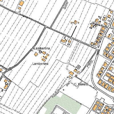 Medicina 10K Preview 2
