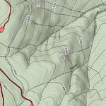 Monte Falterona 10K Preview 3