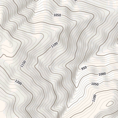 Patigno 10K Preview 2