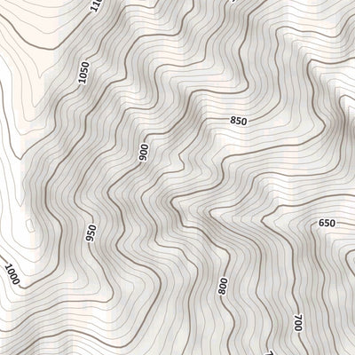Patigno 10K Preview 3