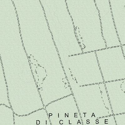 Pineta di Classe 10K Preview 3