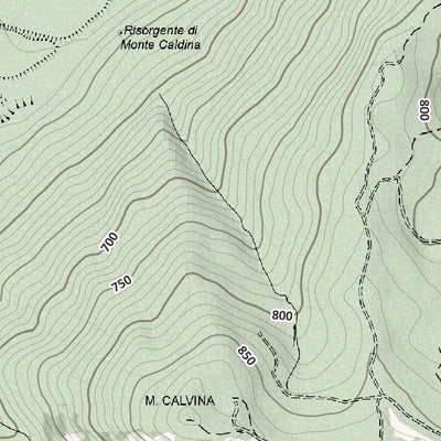 Sologno 10K Preview 3