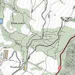 Valsalva 10K Preview 2