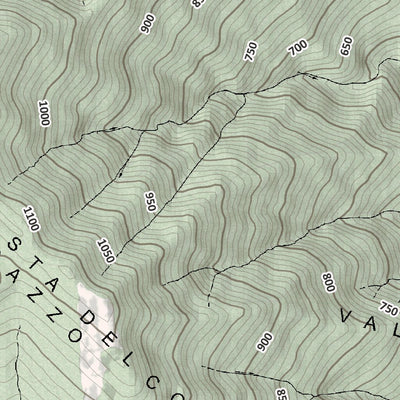 Zerba 10K Preview 2