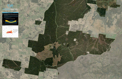 Gurnang State Forest 2024 - Central Preview 1