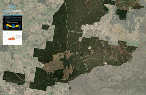 Gurnang State Forest 2024 - Central Preview 1