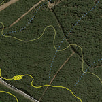 Gurnang State Forest 2024 - Central Preview 2