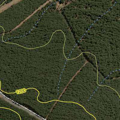 Gurnang State Forest 2024 - Central Preview 2