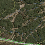 Gurnang State Forest 2024 - Central Preview 3