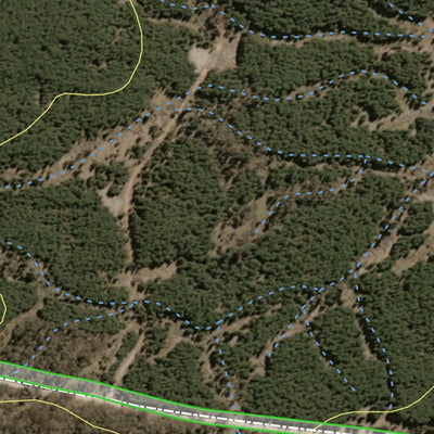 Gurnang State Forest 2024 - Central Preview 3