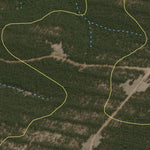 Gurnang State Forest 2024 - North Preview 2