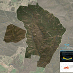 Gurnang State Forest 2024 - South Preview 1