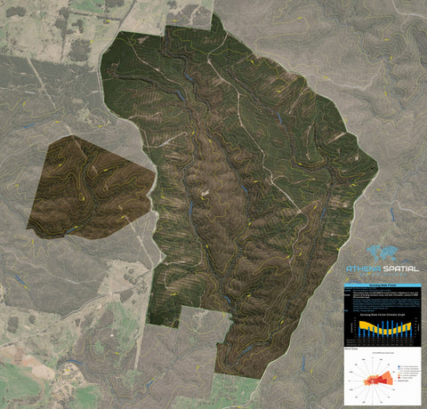 Gurnang State Forest 2024 - South Preview 1