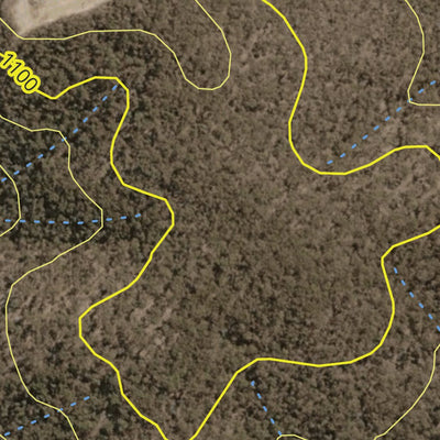 Gurnang State Forest 2024 - South Preview 2