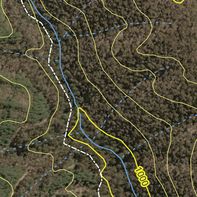 Gurnang State Forest 2024 - South Preview 3