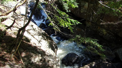 Auger Falls Preview 3