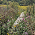 Wyman Meadows - North Fork Conservation Area - Town of Bridgewater and Wildlands Trust Preview 2